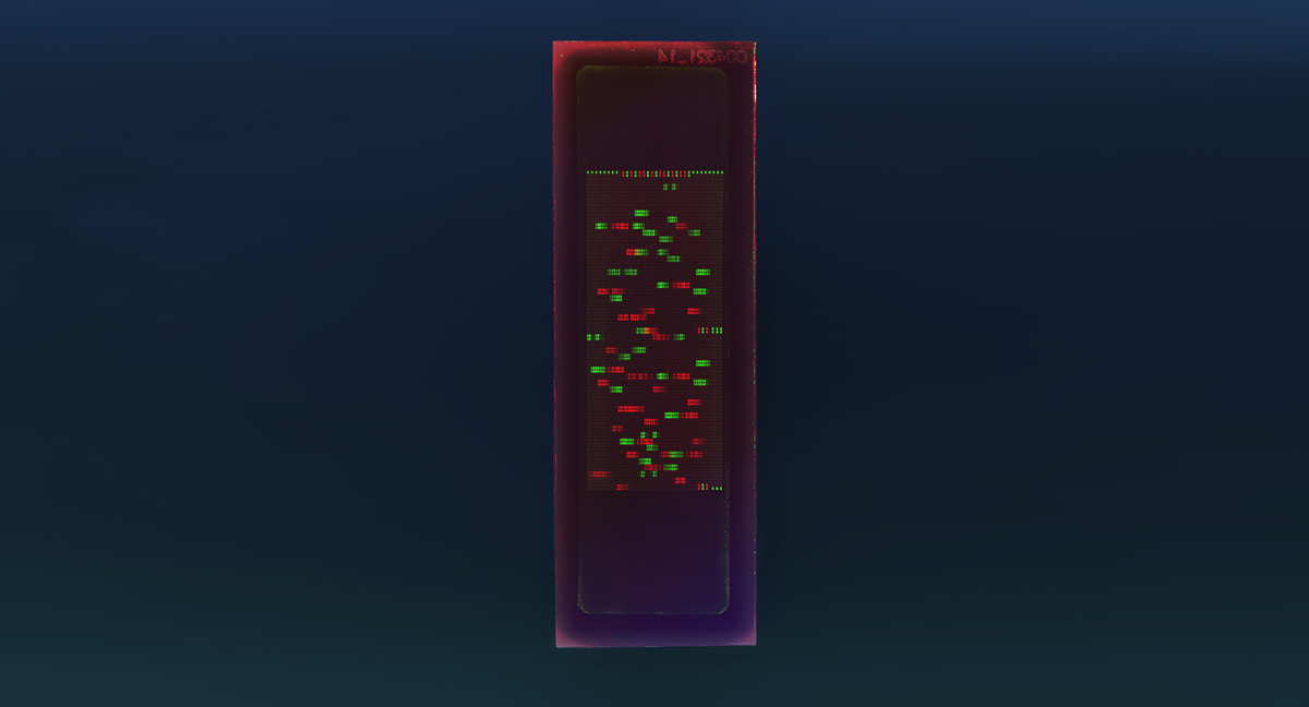 PEPperCHIP® HBV L-Protein Antigen Microarray
