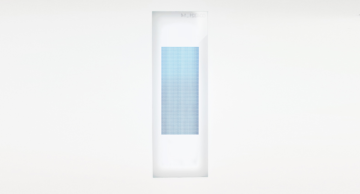 PEPperCHIP® HBV L-Protein Antigen Microarray