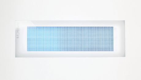 PEPperCHIP® HBV Proteome Microarray