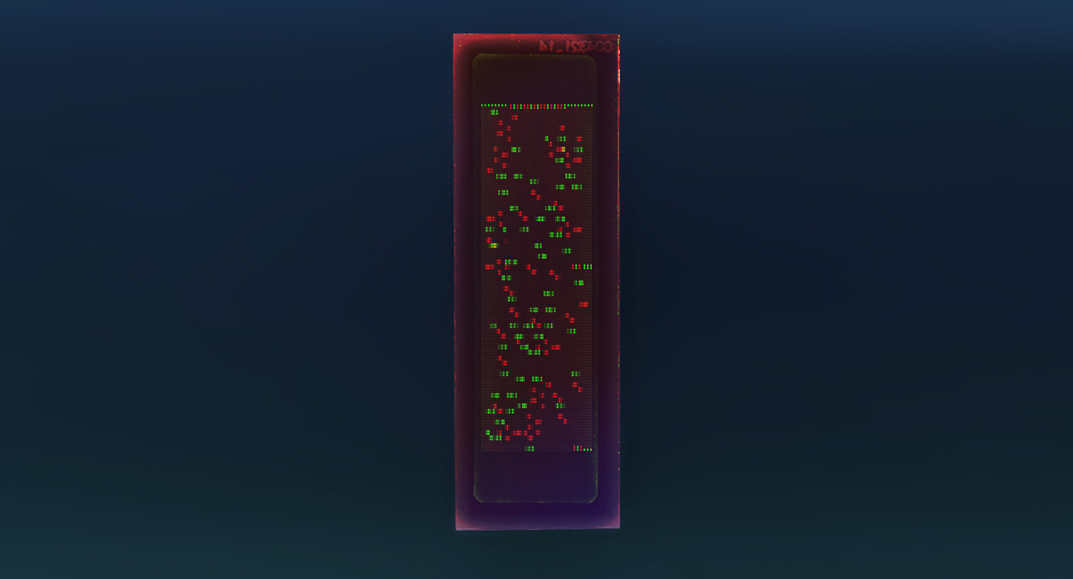 PEPperCHIP® HCMV Antigen Microarray