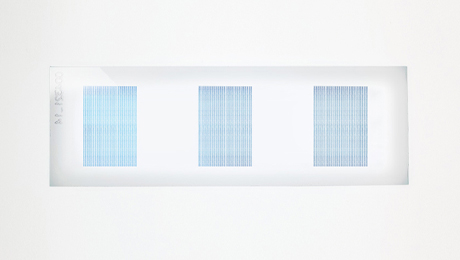 PEPperCHIP® HIV-1 (Env) Antigen Microarray