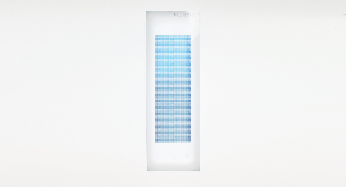 PEPperCHIP® Epstein-Barr Virus Peptide Microarray