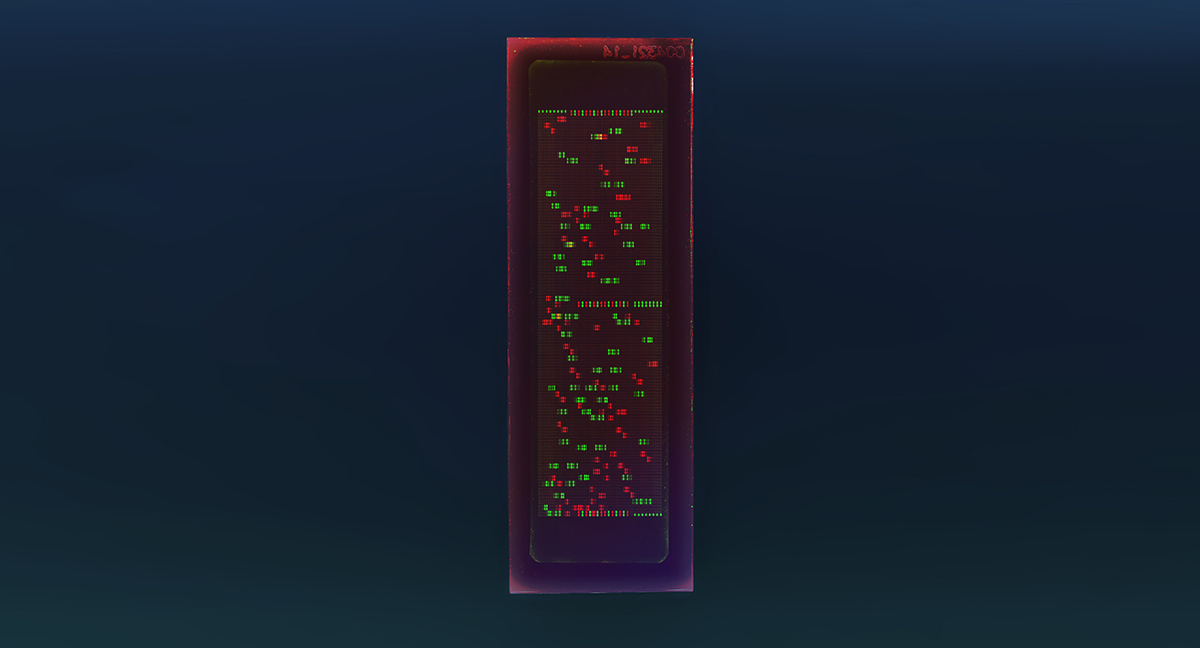 PEPperCHIP® Oncovirus Epitope Microarray