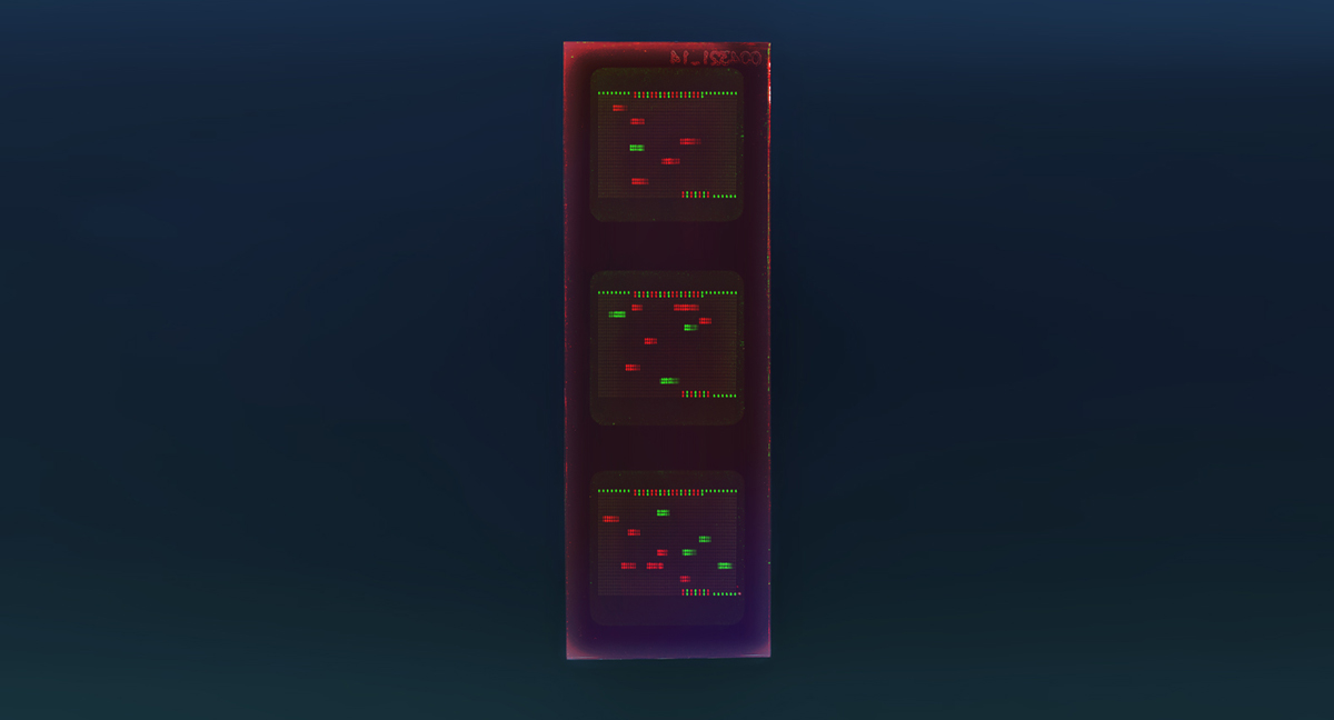 PEPperCHIP® SARS-CoV Antigen Microarray