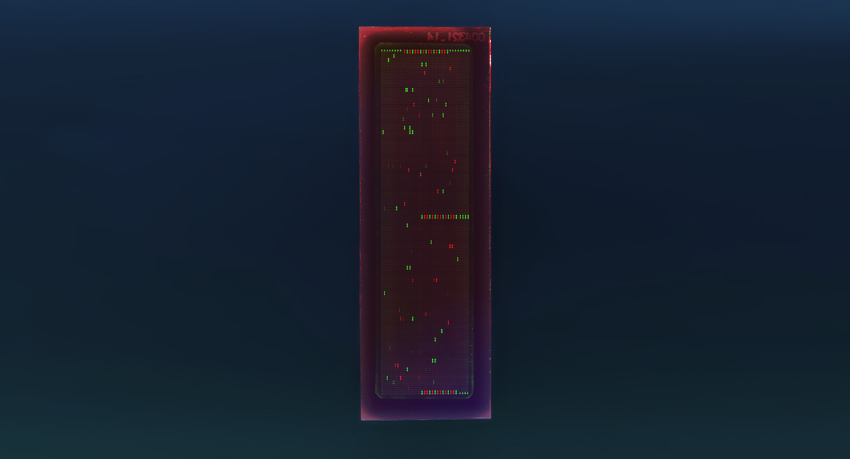 PEPperCHIP® Signature Microarray