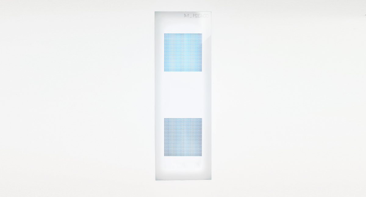 PEPperCHIP® Tetanus Toxin Microarray