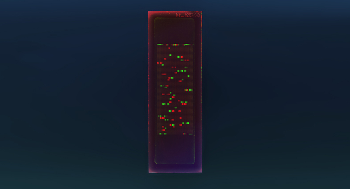PEPperCHIP® West Nile Virus Proteome Microarray