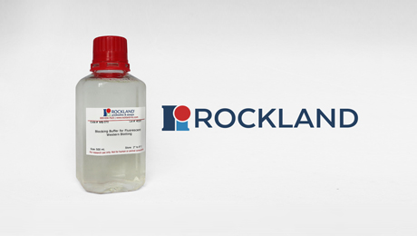 Rockland Blocking Buffer (500 mL)