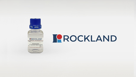 Rockland Blocking Buffer (50 mL)