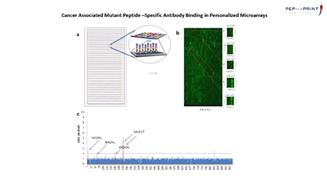 Webinar: Identification of personalized cancer antigens and antibodies using PEPperPRINT Peptide Microarrays