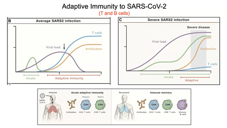 Webinar: Selection for immune evasion in SARS-CoV-2