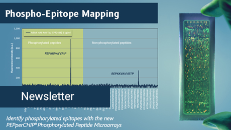 Phospho Epitope Mapping
