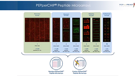 Webinar: Antibody Validation and Antigen Discovery by Combining Protein and Peptide Microarrays