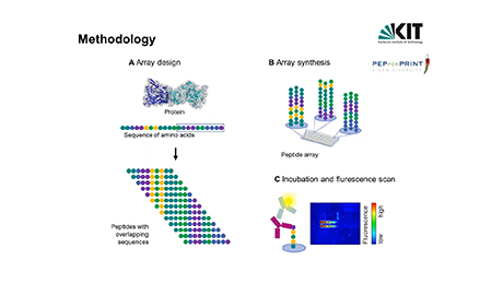 Webinar: Deciphering antibody fingerprints against pathogens