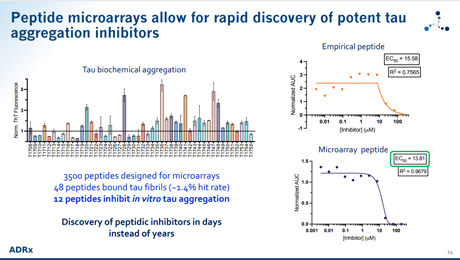 Identifying and targeting unconventional druggable sites on pathological amyloid fibrils