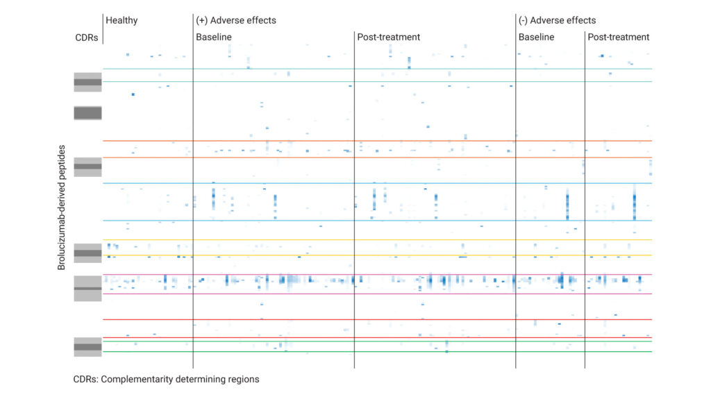 Linear epitope mapping of human IgG responses against a brolucizumab-derived peptide library. Heatmap showing normalized mean fluorescence intensitiy signals corresponding to ADA binding to specific peptides. Figure modified from Karle, Anette C et al. “Anti-brolucizumab immune response as one prerequisite for rare retinal vasculitis/retinal vascular occlusion adverse events.” Science translational medicine vol. 15,681 (2023): eabq5241. doi:10.1126/scitranslmed.abq5241