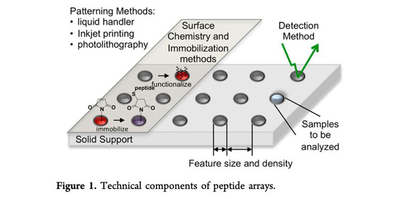 Technical components of peptide arrays. From Szymczak, L. C., Kuo, H.-Y., Mrksich, M. Peptide Arrays: Development and Application. Anal. Chem. 90(1), 266–282 (2018). DOI: 10.1021/acs.analchem.7b04380