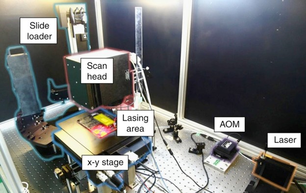Setup of cLIFT.
Source: Loeffler FF, et al. High-flexibility combinatorial peptide synthesis with laser-based transfer of monomers in solid matrix material. Nat Commun. 2016 Jun 14;7:11844. doi: 10.1038/ncomms11844. PMID: 27296868; PMCID: PMC4911634.